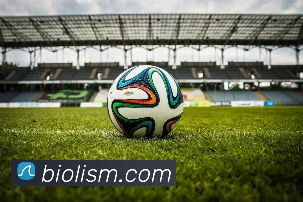 平台展示图